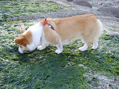 Resize of SANY1011_thumb.jpg